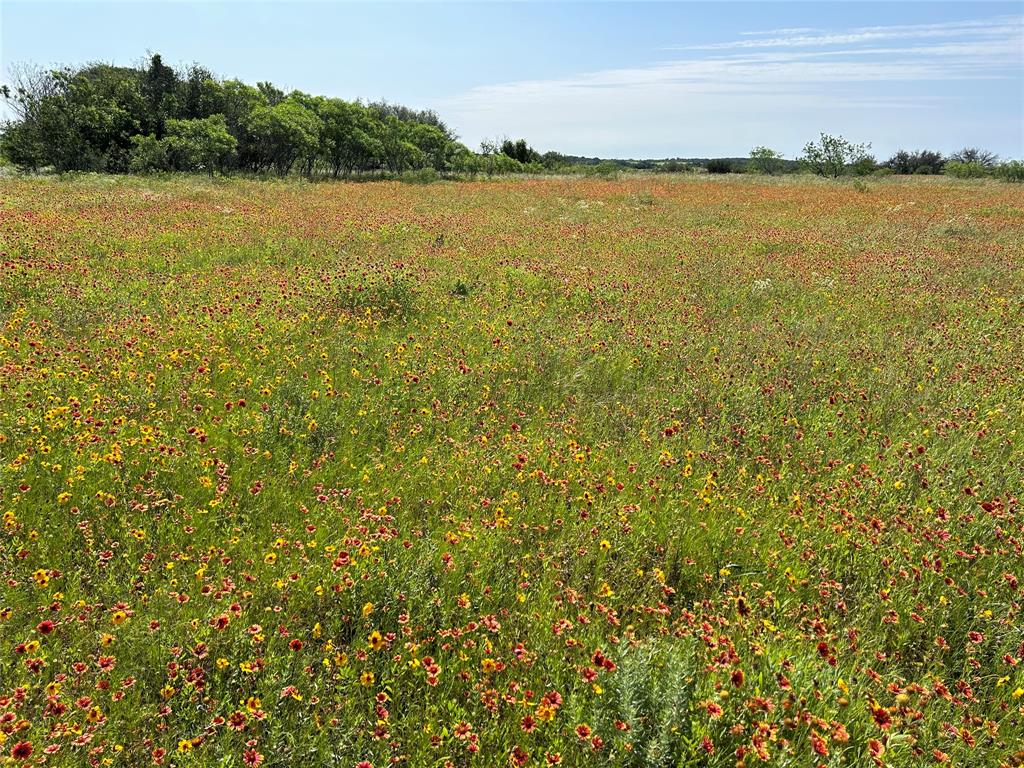 The Ranches at Comanche Valley - Land