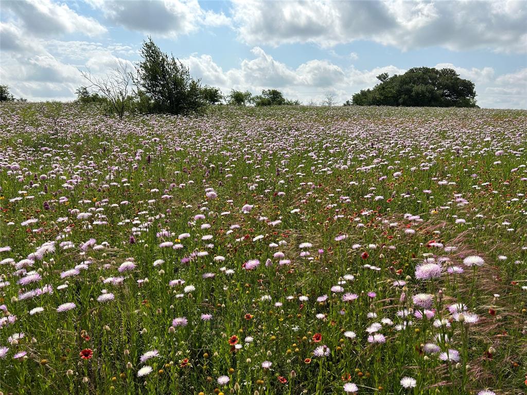 The Ranches at Comanche Valley - Land