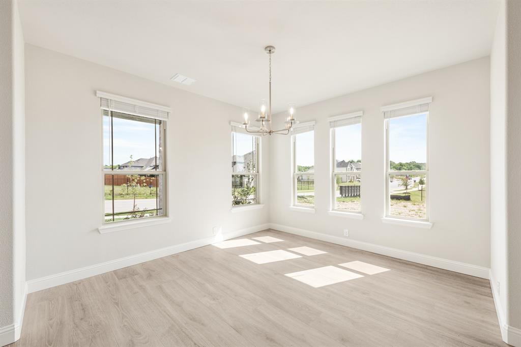 The Lakes at Parks of Aledo - Residential
