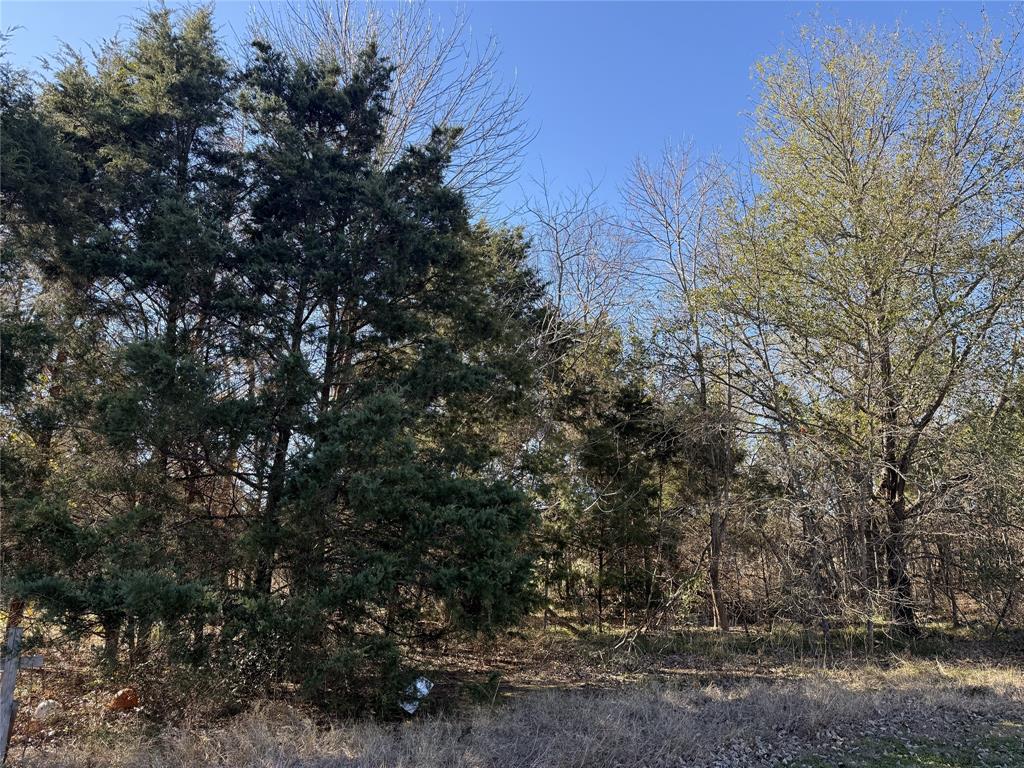 The Shores On Richland Chamb - Land