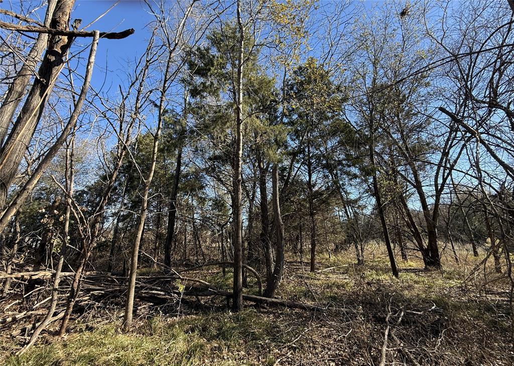 The Shores On Richland Chamb - Land