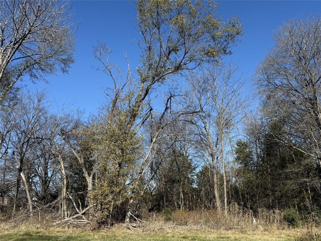 The Shores On Richland Chamb - Land