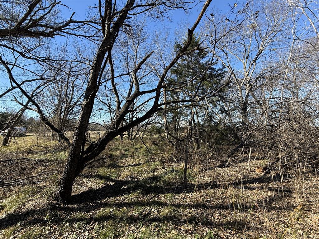 The Shores On Richland Chamb - Land