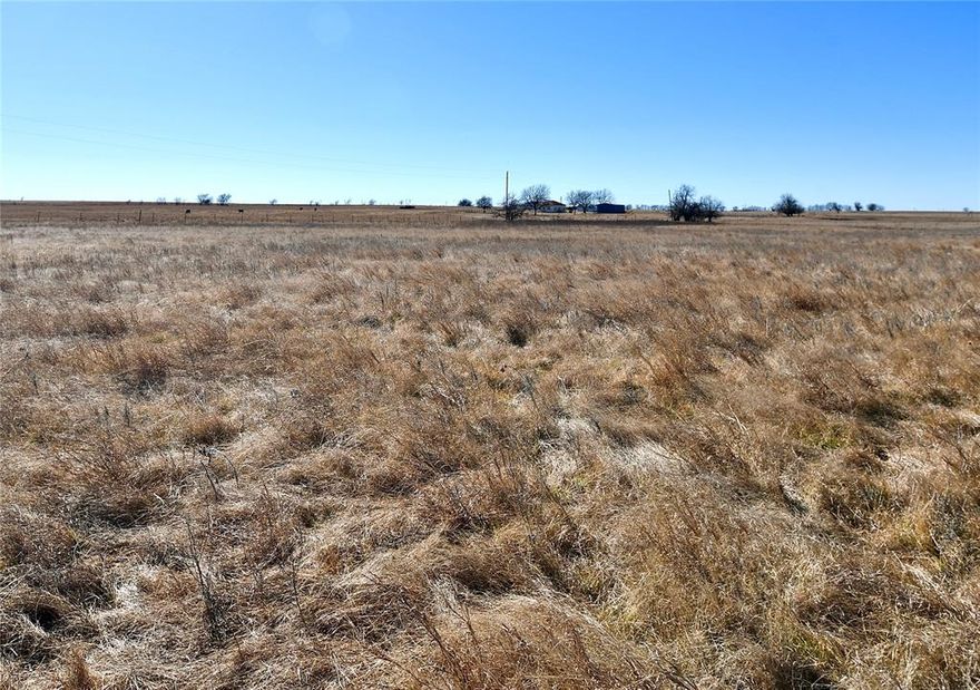 Build your dream home on this 5 acre lot with nice views!  Only 10 minutes from I35, 10 minutes to downtown Gainesville, 9 minutes to Frank Buck Zoo, and 1 mile to FM51!  ERA SCHOOL DISTRICT! Electric run along entire north side of property, you can build anywhere on the property and electric will be the same price.  NO NEIGHBORS FOR ACRES! Fenced on 3 sides and ready for your dream home!