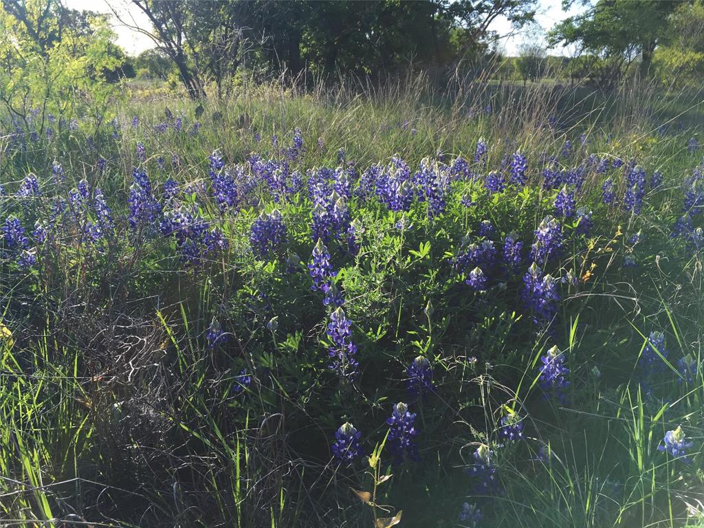 Kings Point Cove Unit 3 - Land