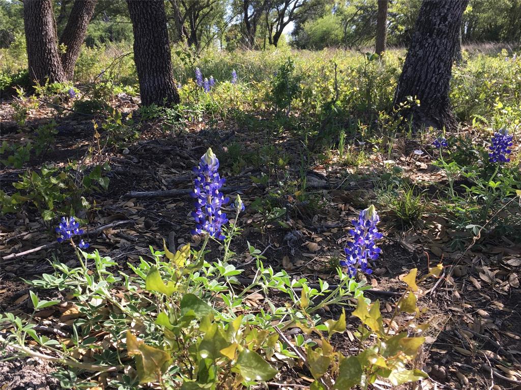 Kings Point Cove Unit 3 - Land