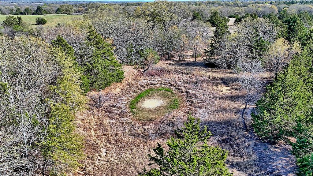 44.91 Acres, Block 105, Hill CSL Survey - Farm