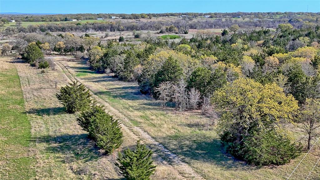 44.91 Acres, Block 105, Hill CSL Survey - Farm