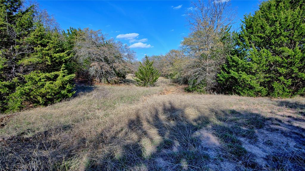 44.91 Acres, Block 105, Hill CSL Survey - Farm