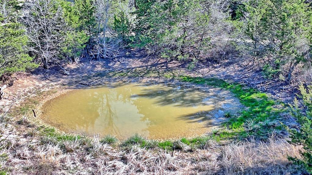 44.91 Acres, Block 105, Hill CSL Survey - Farm