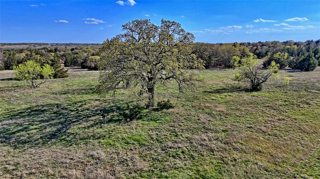 44.91 Acres, Block 105, Hill CSL Survey - Farm