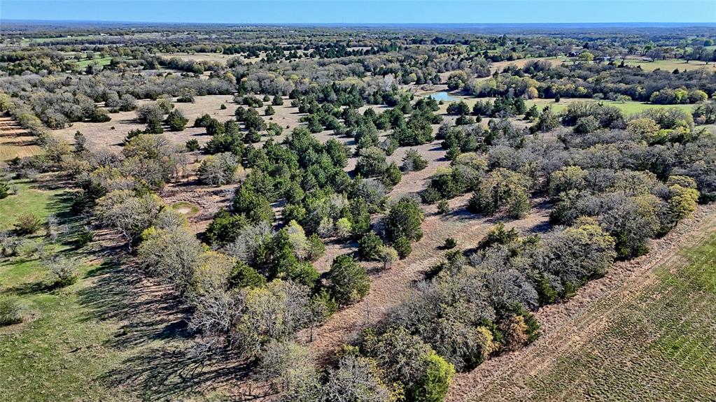 44.91 Acres, Block 105, Hill CSL Survey - Farm