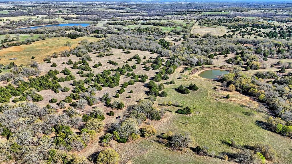 44.91 Acres, Block 105, Hill CSL Survey - Farm