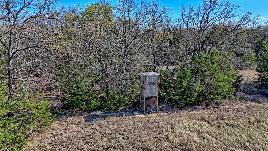 44.91 Acres, Block 105, Hill CSL Survey - Farm