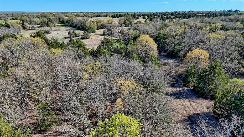 44.91 Acres, Block 105, Hill CSL Survey - Farm