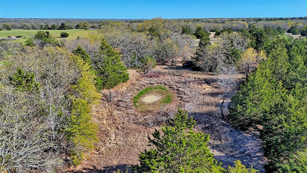 44.91 Acres, Block 105, Hill CSL Survey - Farm