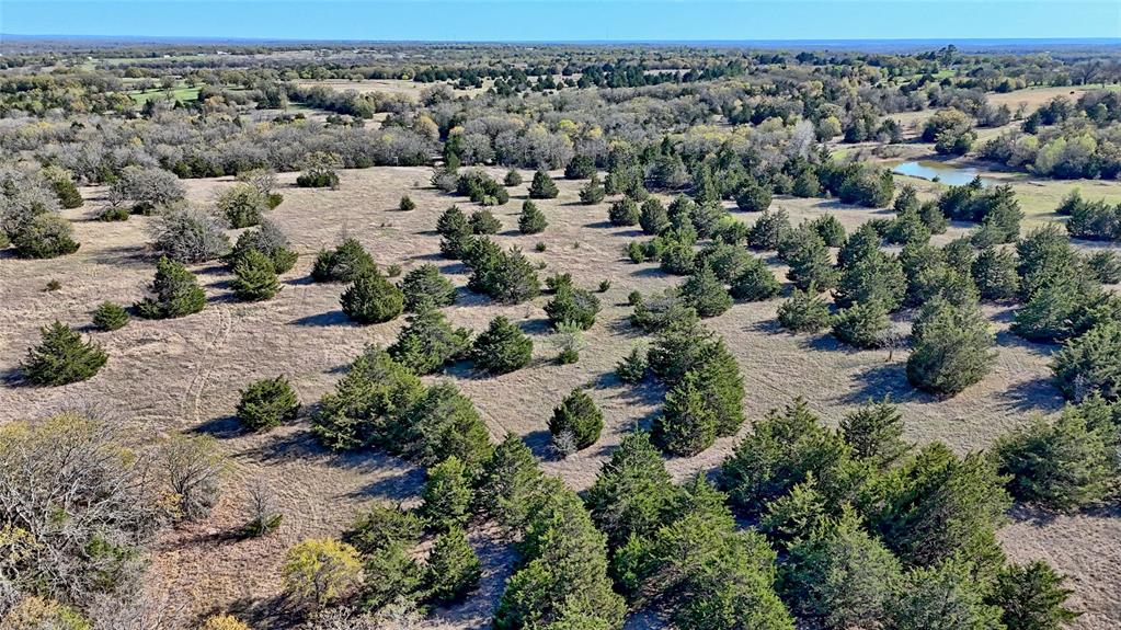 44.91 Acres, Block 105, Hill CSL Survey - Farm