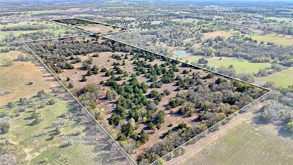 44.91 Acres, Block 105, Hill CSL Survey - Farm