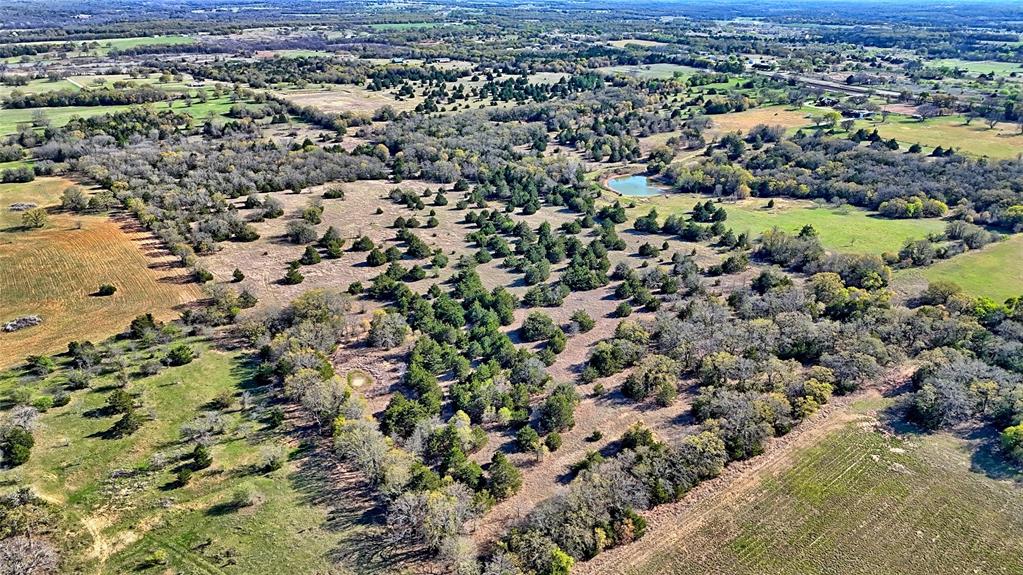 44.91 Acres, Block 105, Hill CSL Survey - Farm