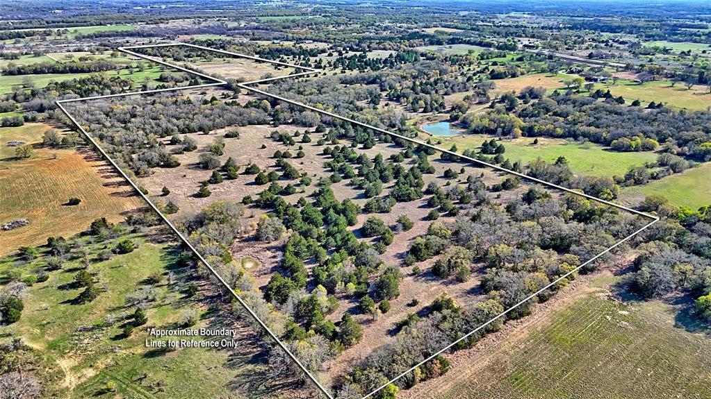 44.91 Acres, Block 105, Hill CSL Survey - Farm