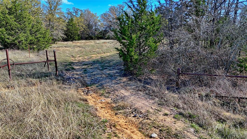 44.91 Acres, Block 105, Hill CSL Survey - Farm