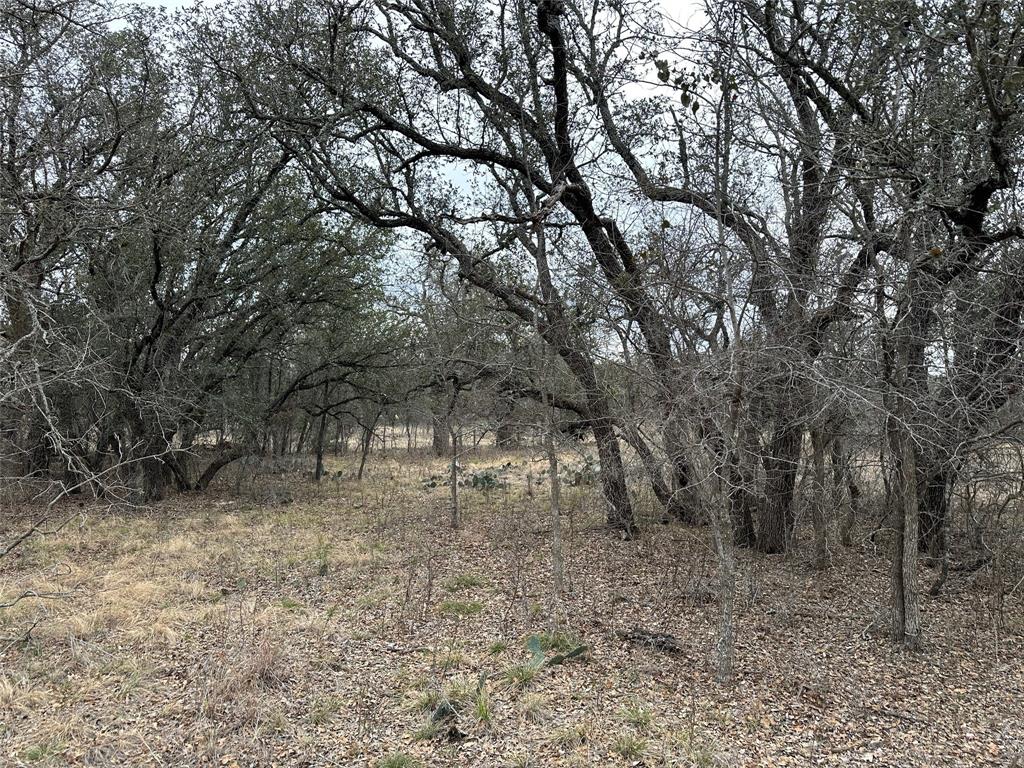 Feather Bay Sub Ph - Land