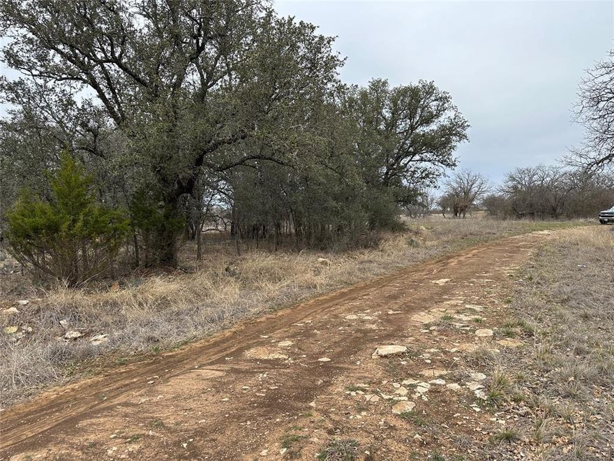 Lot 167 in Feather Bay Subdivision Phase II is a .53 acre lot near Lake Brownwood in Central Texas. It is a nice lot with trees that is mostly level in the beautiful resort community of King’s Point Cove and the Hideout Golf Club. This lot is near the golf course and is in the middle of the subdivision on an unpaved street, Falcon Drive. Utilities are not available yet.  Ownership of this property includes 4 free rounds of golf each month on the 18 hole Hideout golf course, and unlimited access to multiple amenities including: two pools, hot tub, two playgrounds, sand volleyball court, driving range, putting green, fishing pond, resort lodge, RV park, cabins, and more. Private community boat dock to be added soon!