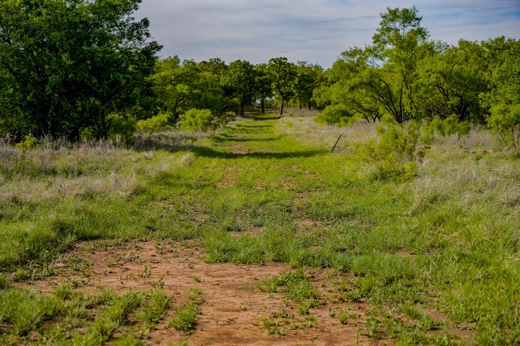 Roney - Farm