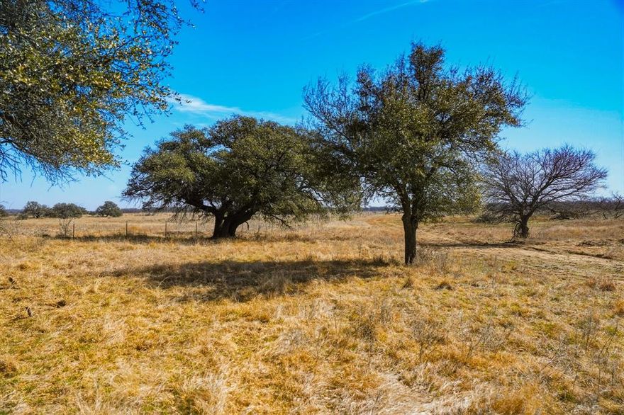 Beautiful 127 acres off Roney Road in northwest Jack County. This property has mixed post oaks, mesquites, and live oaks as well as Lynn Creek running on its northwest corner. Large neighbors on all sides allow for privacy and seclusion. Electricity is on the property, and the area is known for good ground water. Abundant wildlife include whitetail, hogs, dove and turkey. Ag exempt. Deed restrictions: no subdividing, no manufactured-modular homes, and no trash pits. Owner-Agent. Asking price: $7,750 per acre.

Shown by appointment only. 

If cooperating broker-agent is not present during initial contact, showing(s), and-or negotiations, cooperating broker-agent will not be entitled to full cooperating-compensation fee, with the cooperating-compensation fee being at the sole discretion of Maddox Realty.