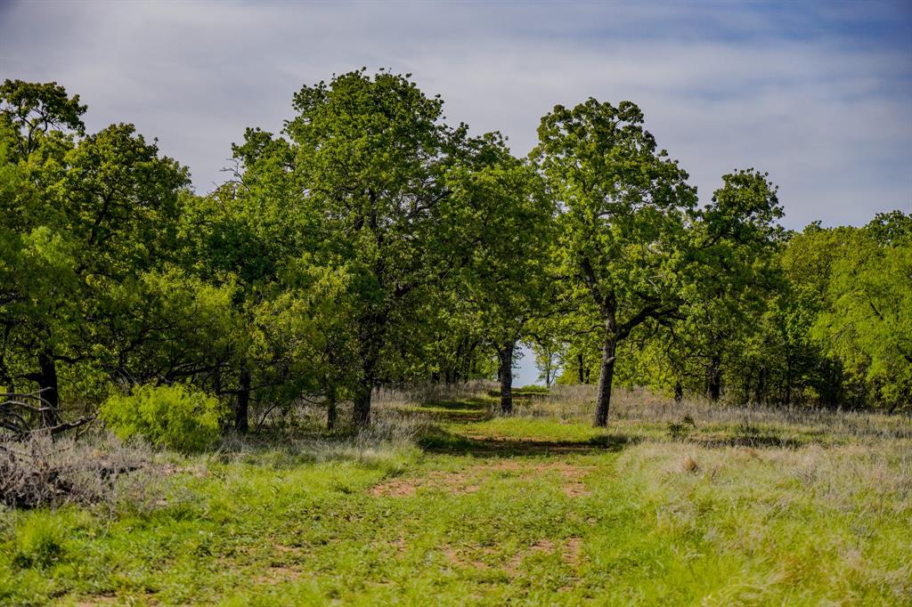 Roney - Farm
