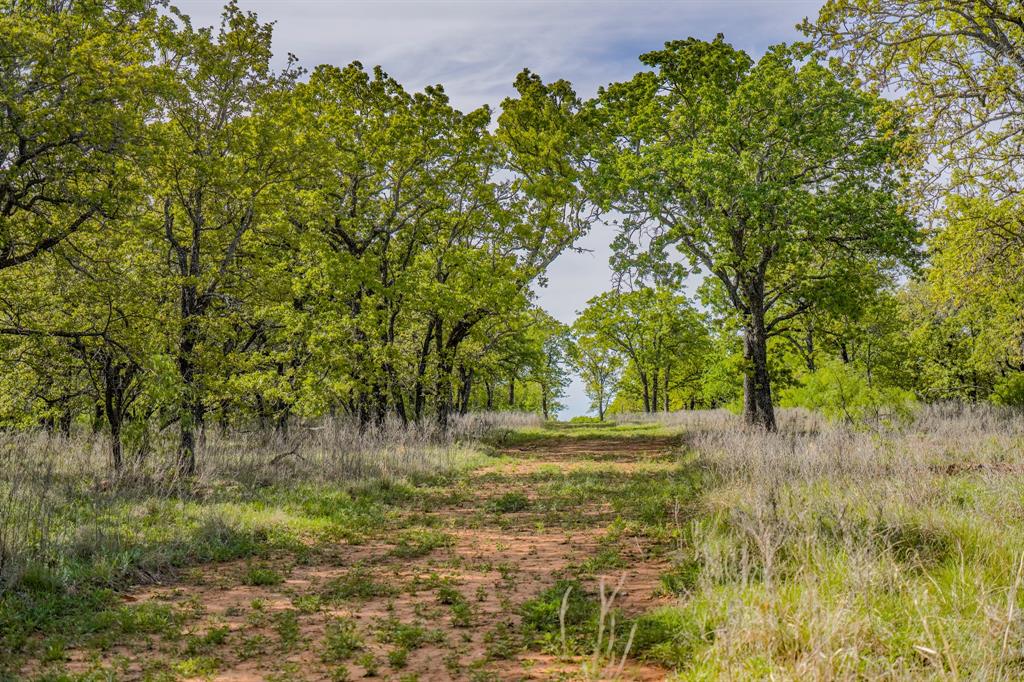 Roney - Farm