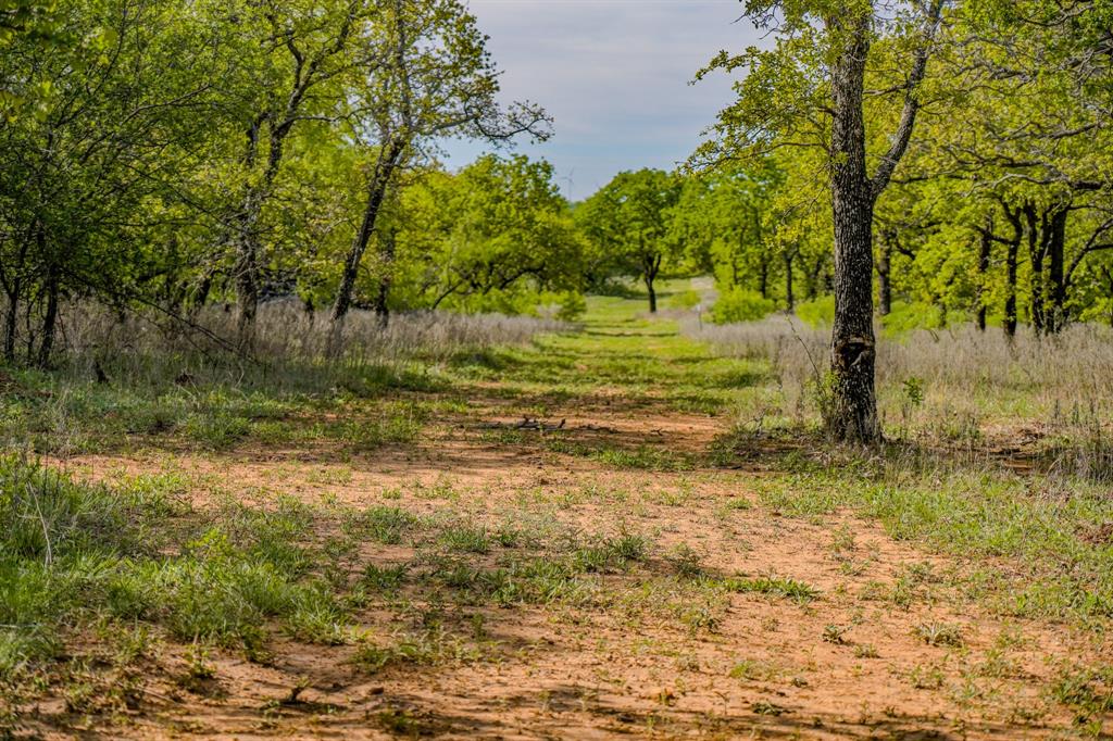 Roney - Farm