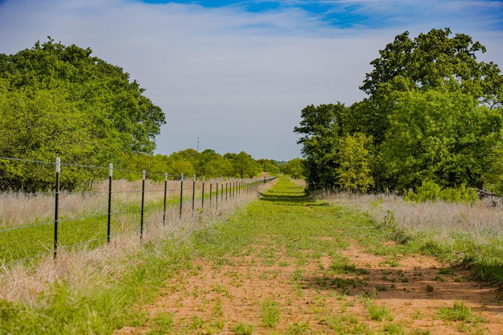 Roney - Farm