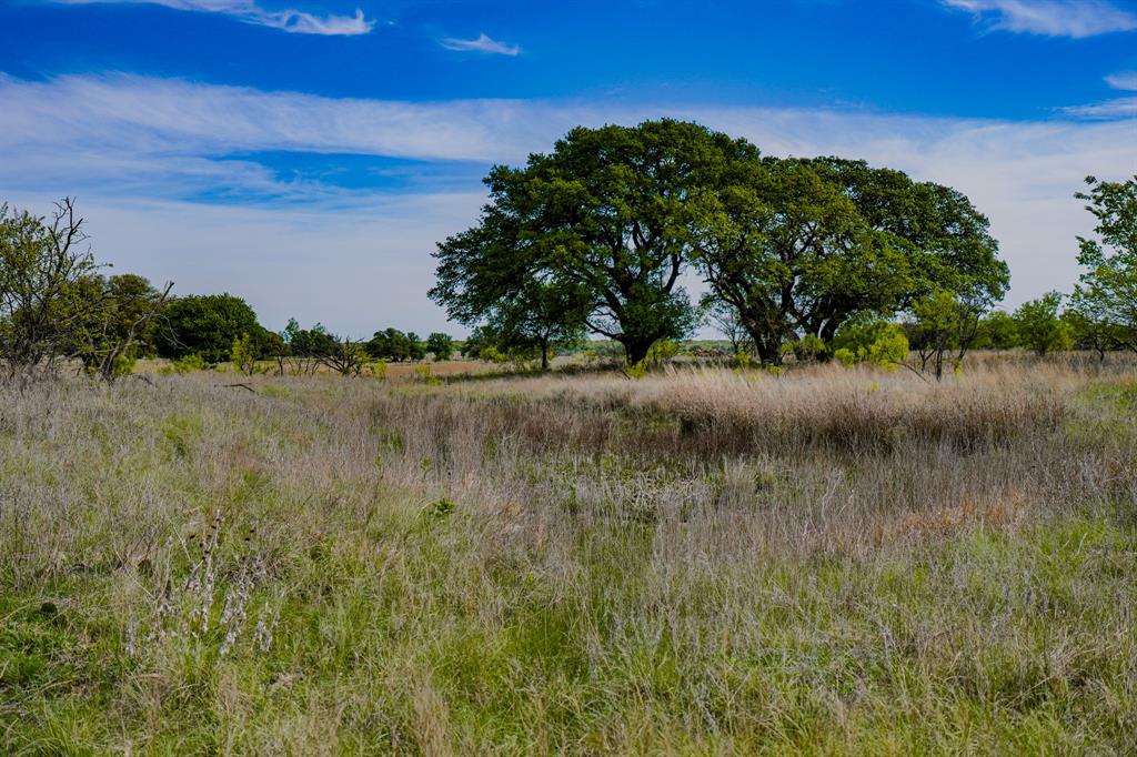 Roney - Farm