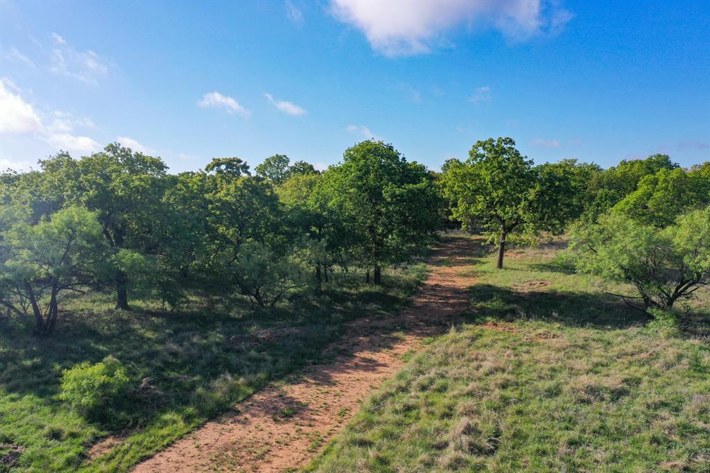 Roney - Farm