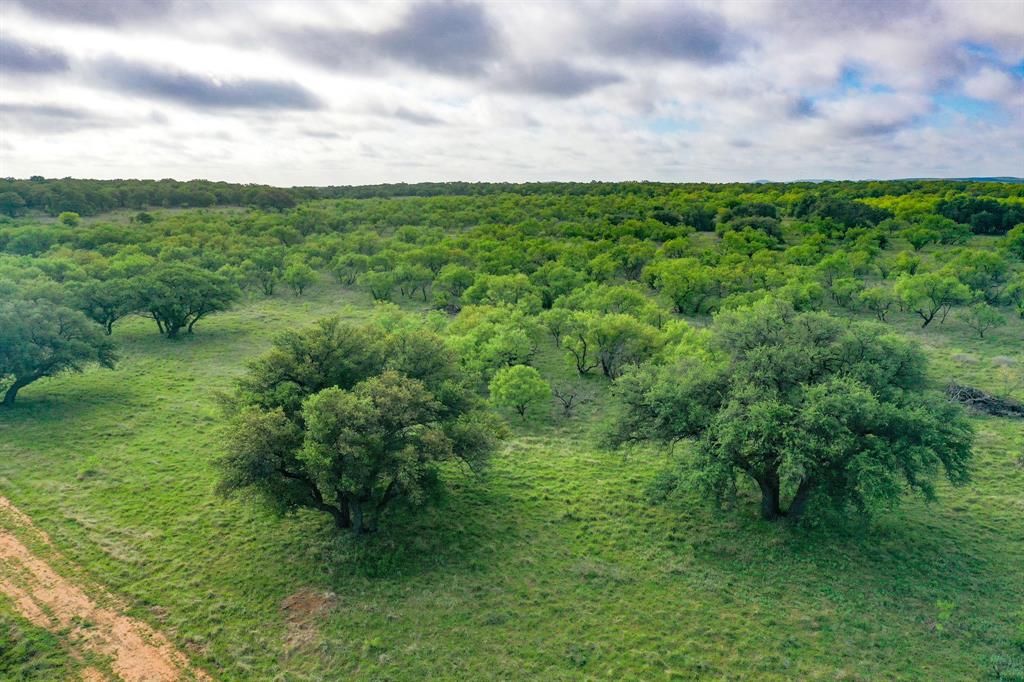 Roney - Farm
