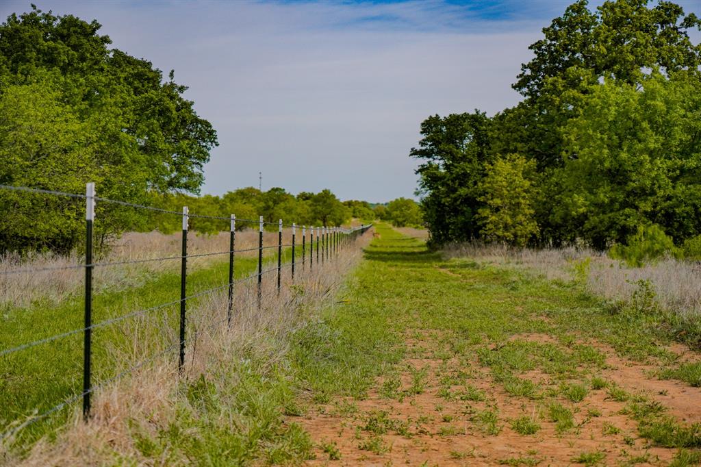 Roney - Farm