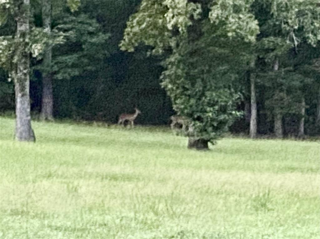 Norman Dickey Subd - Residential