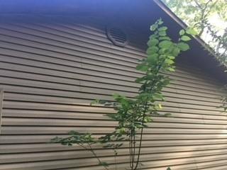 E Alvarado Surv Abs #4 - Residential