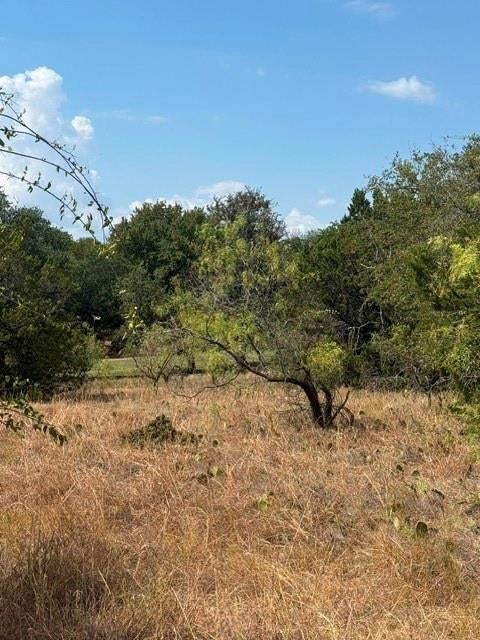 Photo of 17117 Woodlawn Drive, Whitney, TX 76692 (MLS # 21402558)