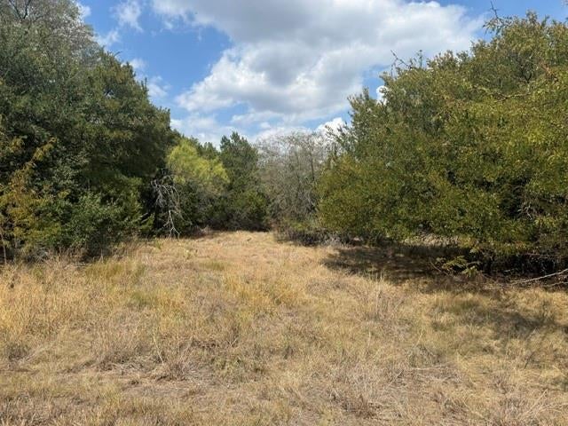 Photo of 17117 Woodlawn Drive, Whitney, TX 76692 (MLS # 21402558)