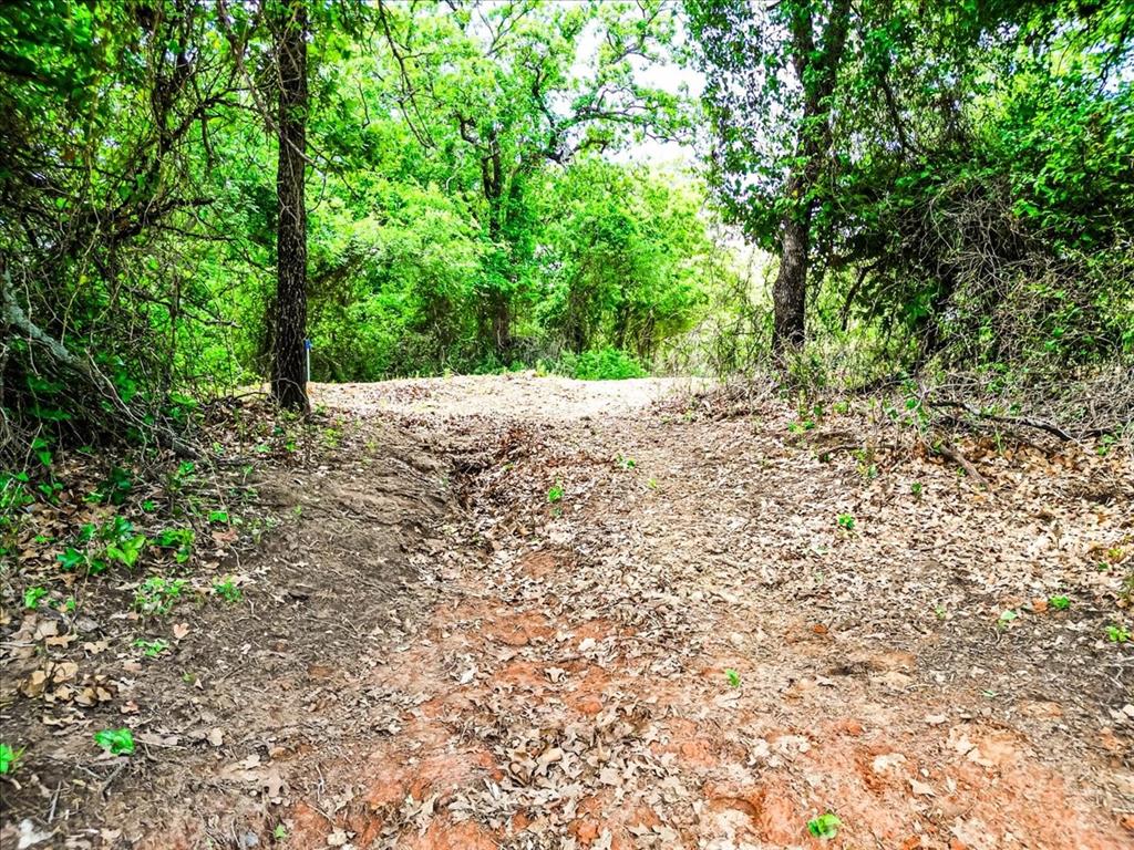 Woodlands of Parker County - Farm