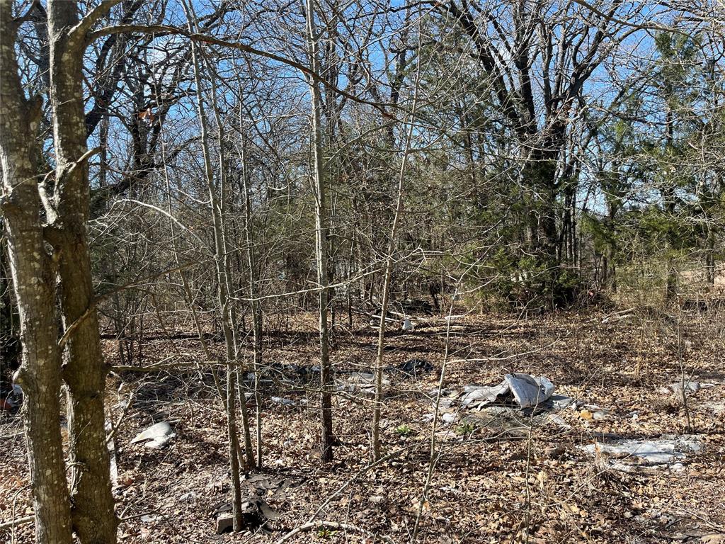 King Script Cove Add - Land