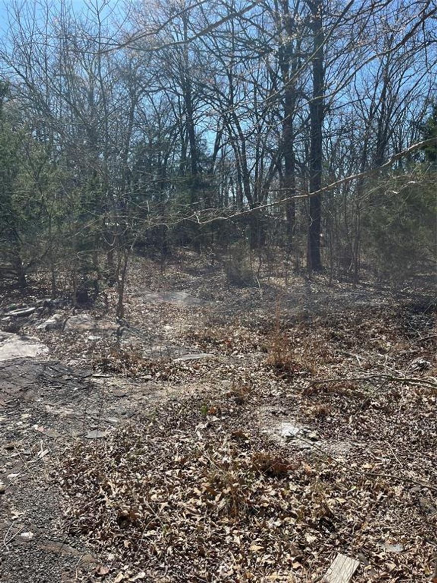 Affordable lot near the lake, out in the country with NO known restrictions. This property offers seclusion. Would make a great place for an RV or tiny home. Heavily wooded, raw land with no utilities. Buyer to verify access to water, electric, and a permit for septic with Sabine River Authority. Sign was placed as accurately as possible. New survey will be needed. CAD has it off of CR 3605 but it's off of PR 3792