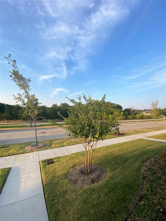 Frisco Springs - Residential