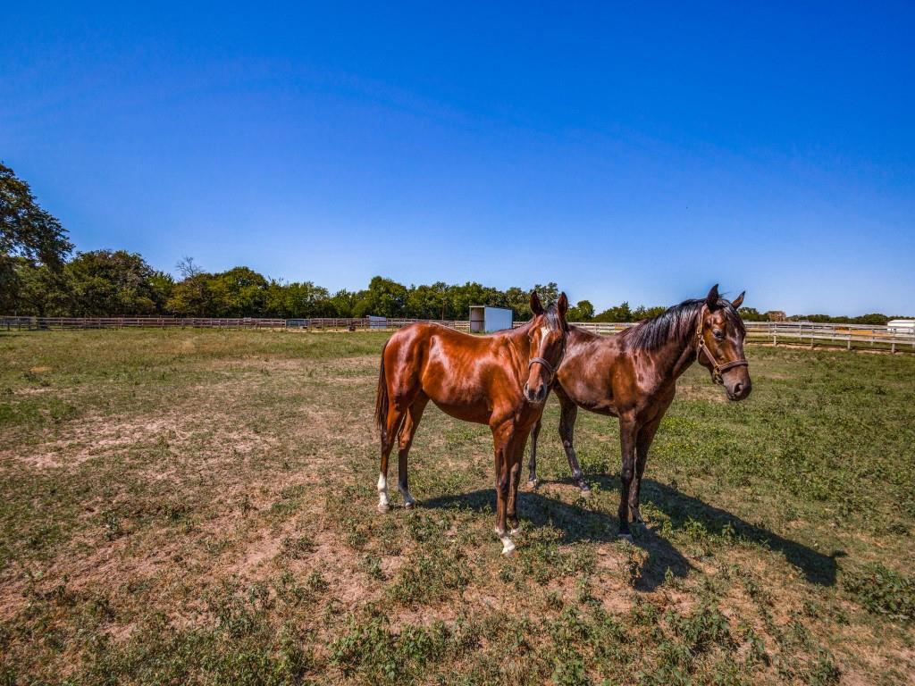 A0894 RUSH JAMES M,TRACT 5, ACRES 95.1557 - Residential