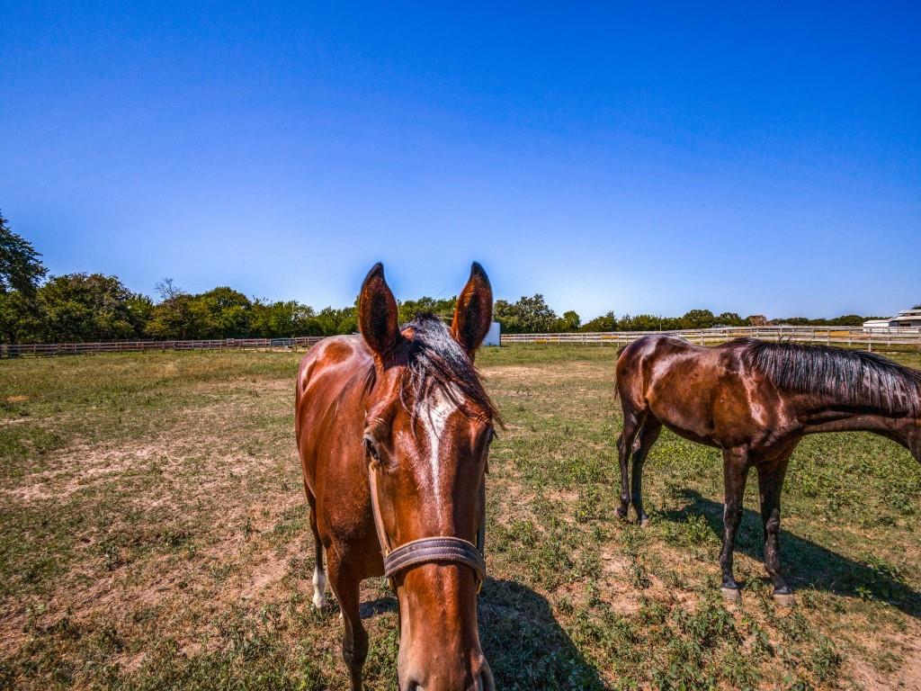 A0894 RUSH JAMES M,TRACT 5, ACRES 95.1557 - Residential