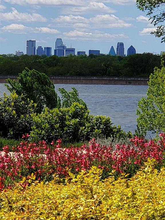 Mount Auburn - Land