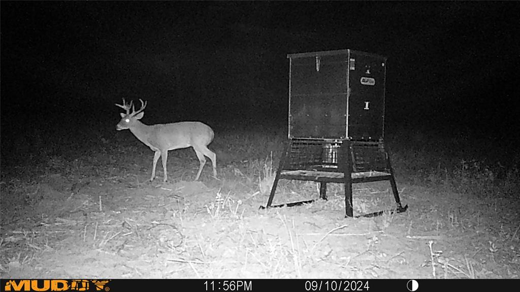 TBD Private Rd 8079 Road