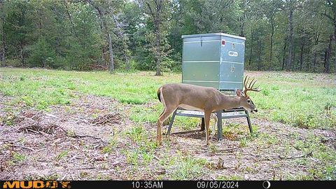 TBD Private Rd 8079 Road Ben Wheeler TX 75754